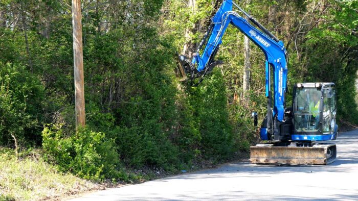 Blue Diamond Brush Cutter